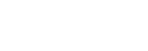 Platsky Logo